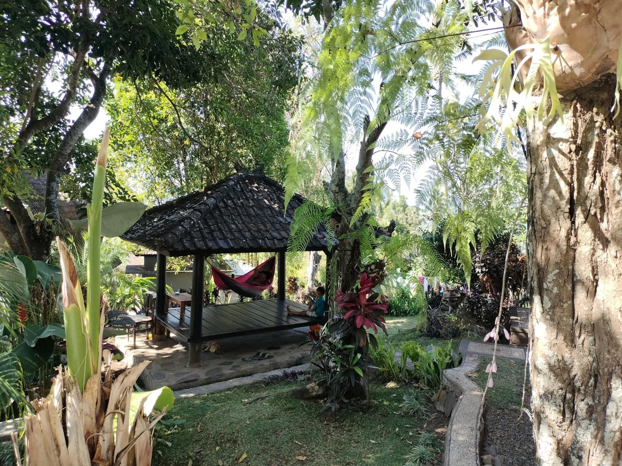 D'Kailash Retreat 싱가라자 외부 사진