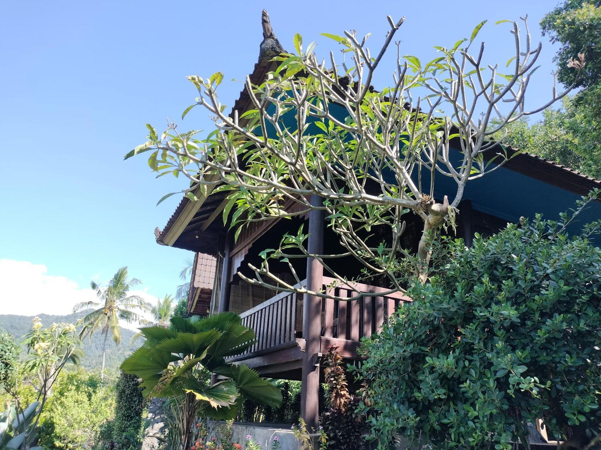 D'Kailash Retreat 싱가라자 외부 사진
